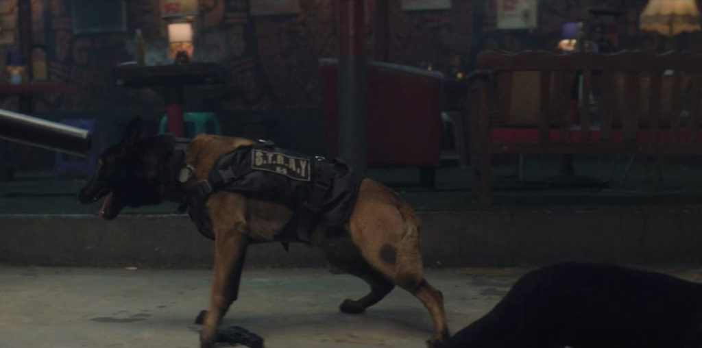 Muzzle: City Of Wolves image