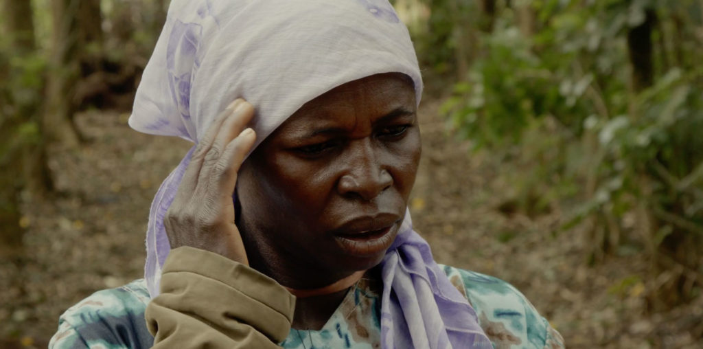 Seeds From Kivu image