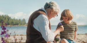 The Summer Book Image