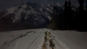 Without Warning Image