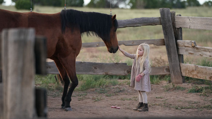 The Girl (Emily Ford) reaches toward a horse in a fenced corral in Killing Faith (2025).