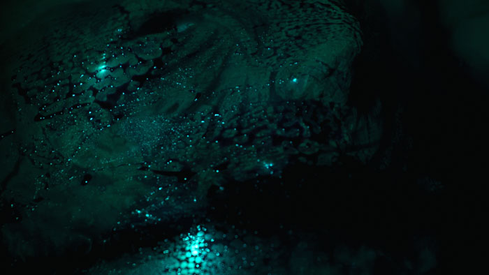 Close-up of a glittering, textured surface suggesting a supernatural or alien presence in Skinbound (2026).