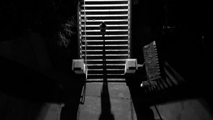 Overhead black-and-white shot of a lone figure casting a long shadow on stairs in The Girl Inside The Photograph (2026). 