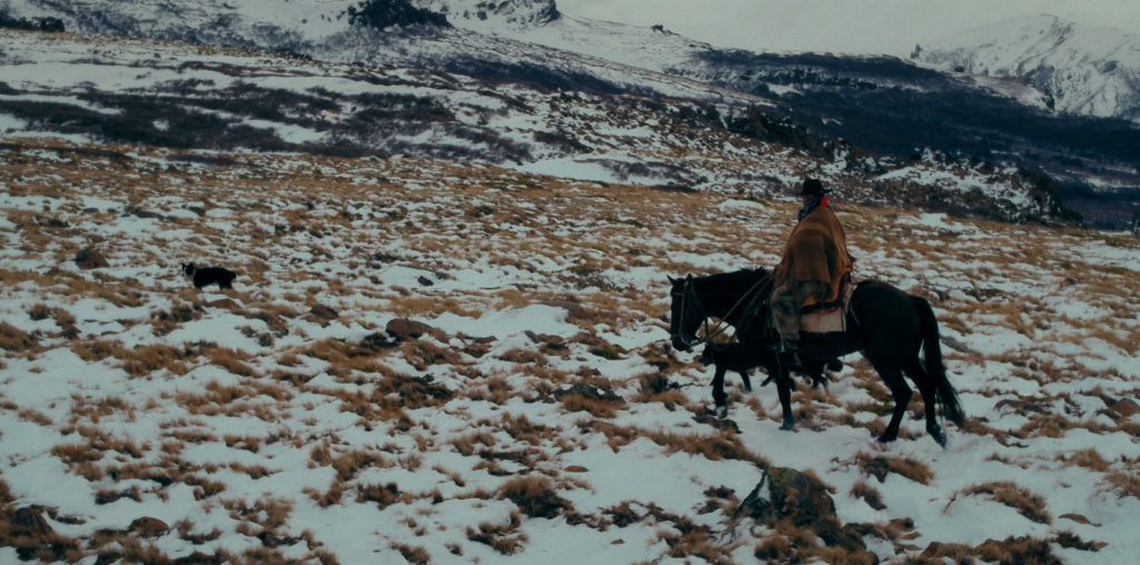 The Last Puestero image