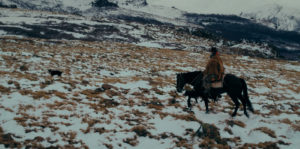 The Last Puestero Image