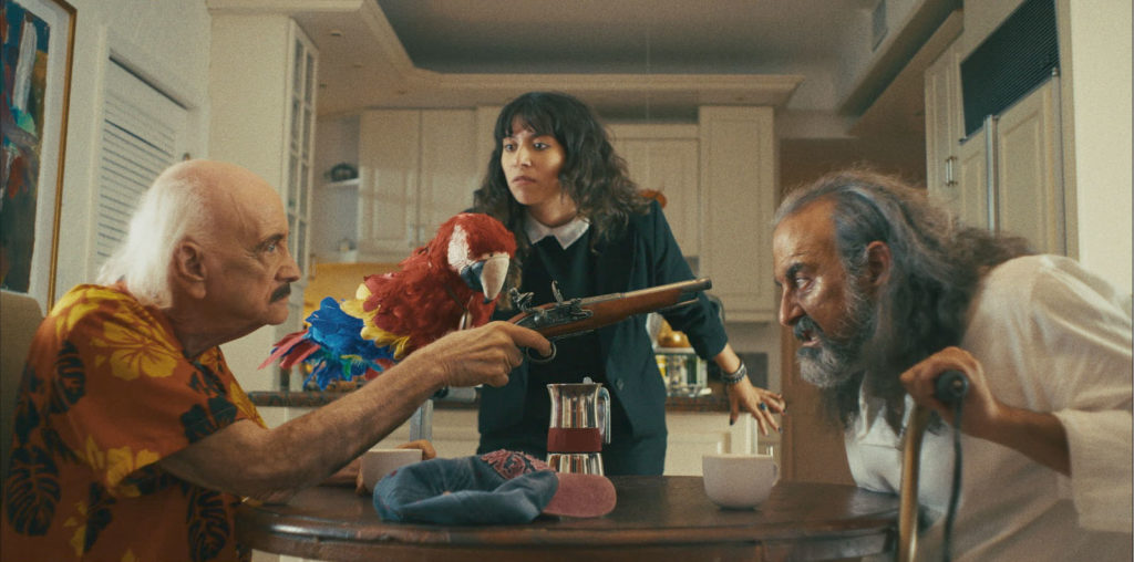 The Old Man and the Parrot image