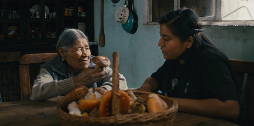 Otilia Portillo Padua Creates A Cosmic Network With Daughters Of The Forest image