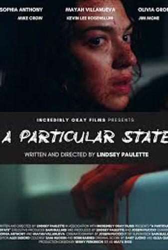 A Particular State  Image