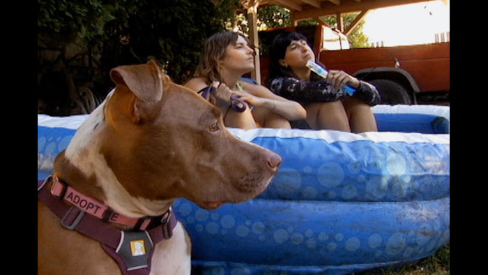 A dog sits in front of two women in a backyard pool scene from Danny Is My Boyfriend, featured at Mammoth Lakes Film Festival.