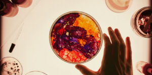 Phenomena Image