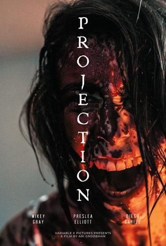 Projection Image