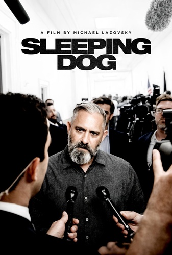 Sleeping Dog Image