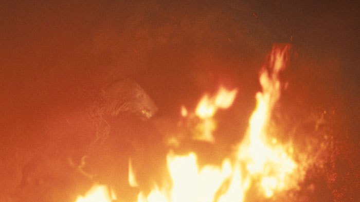 Bright flames engulf the frame in a terrifying moment from The Bones Exist.