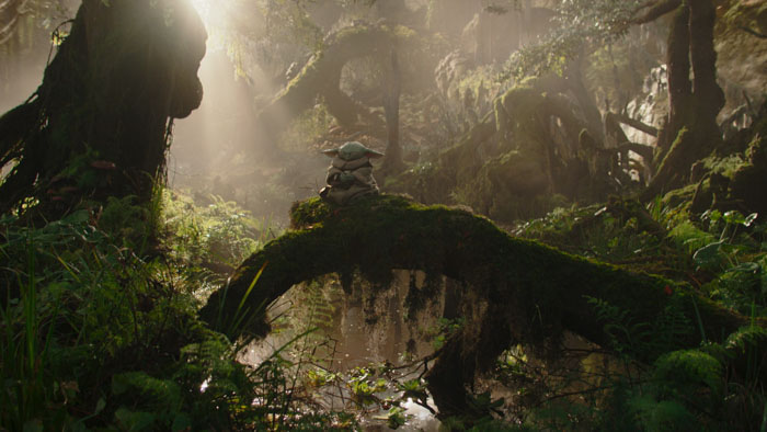 Grogu sits alone on a mossy log in a lush, sunlit jungle in The Mandalorian and Grogu.