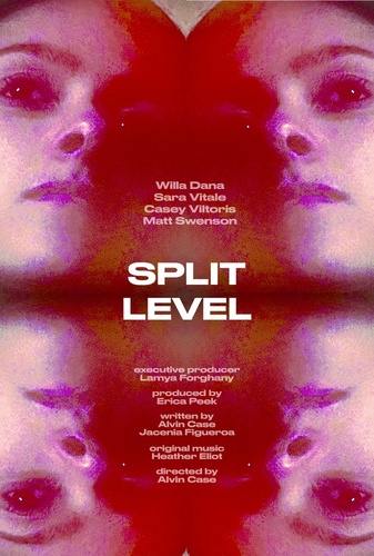 Split Level  Image
