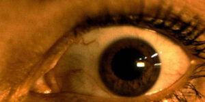 Morbid Sight Image
