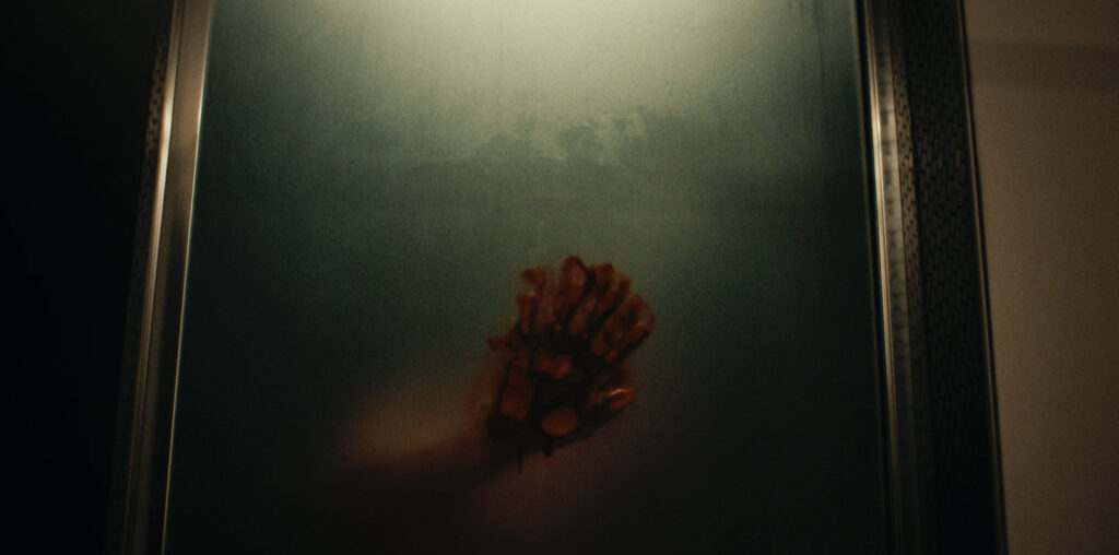 Night after Night image