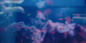 Pescador Image