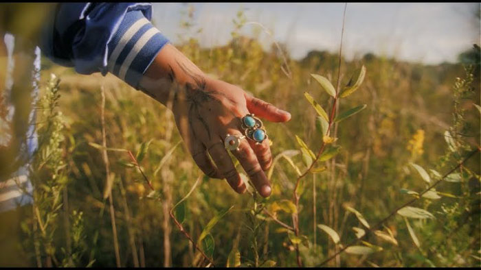 Kalyn Fay’s hand brushes through a field in Windsong.