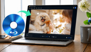 How to Play Blu-ray Disc on PC Smoothly and Without Loss Image