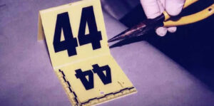 Brocchini & Buehler: The Investigation Of Scott Peterson Image