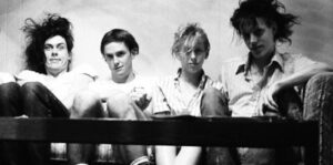 Butthole Surfers: The Hole Truth And Nothing Butt Image