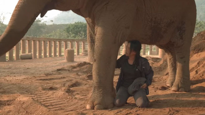 Maria Bertrand kneels beneath an elephant's trunk in Thailand in Finding Happy.
