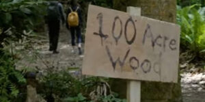 Pooh Goes To The Woods: The Final Adventure Image