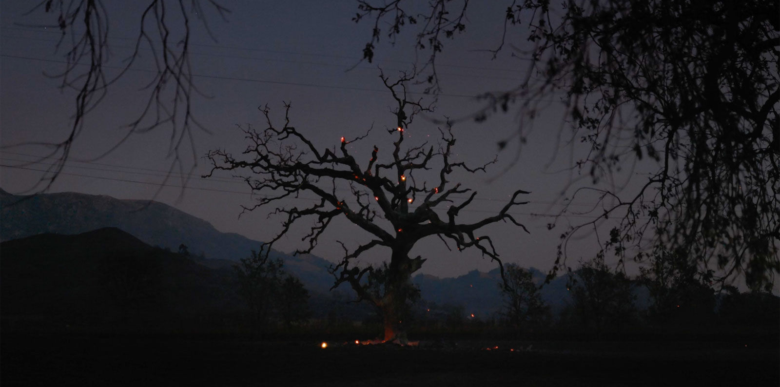 Stray Embers