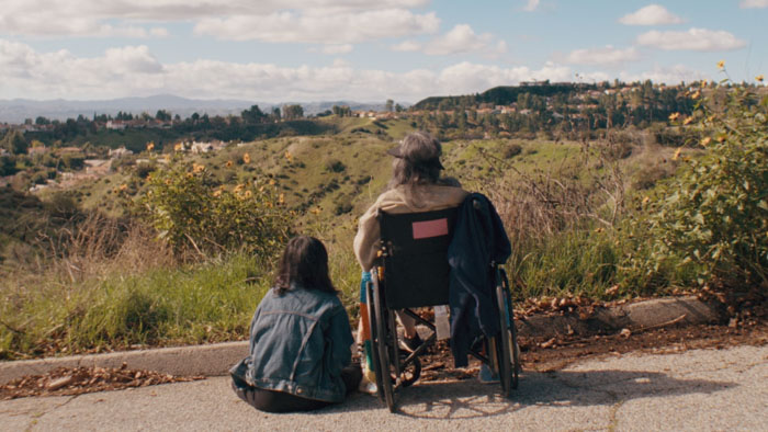 A wheelchair-bound man and a woman sit at a hillside overlook in a flashback scene from Surrender.