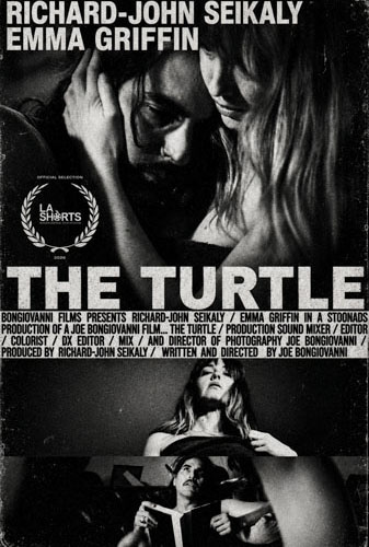 The Turtle Image