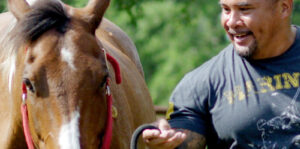 Where the Horses Heal the Soul Image