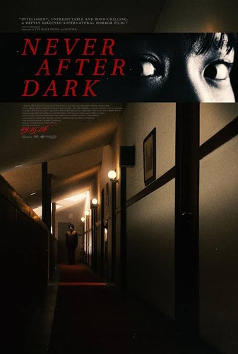 Never After Dark Image