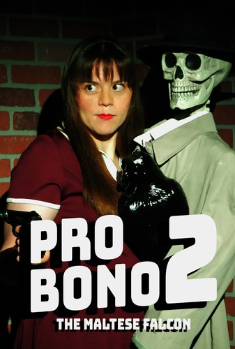 Pro Bono 2 Image