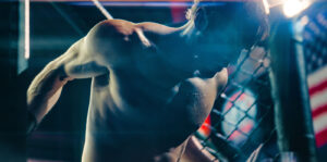 Lion Fist Image