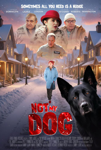 Not My Dog Image
