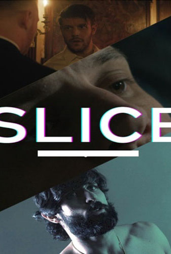 Slice Image