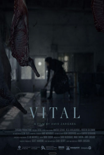 Vital Image